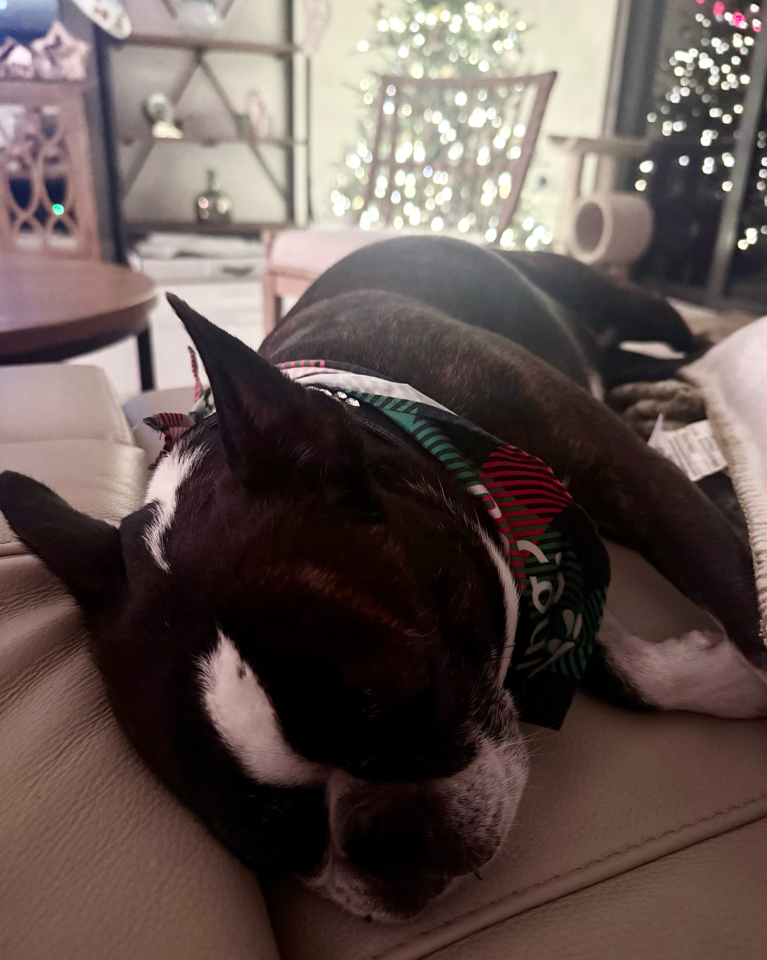 About Alaska Water Wastewater Management Association (AWWMA)